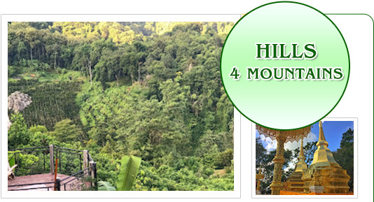 Hills 4 Mountains